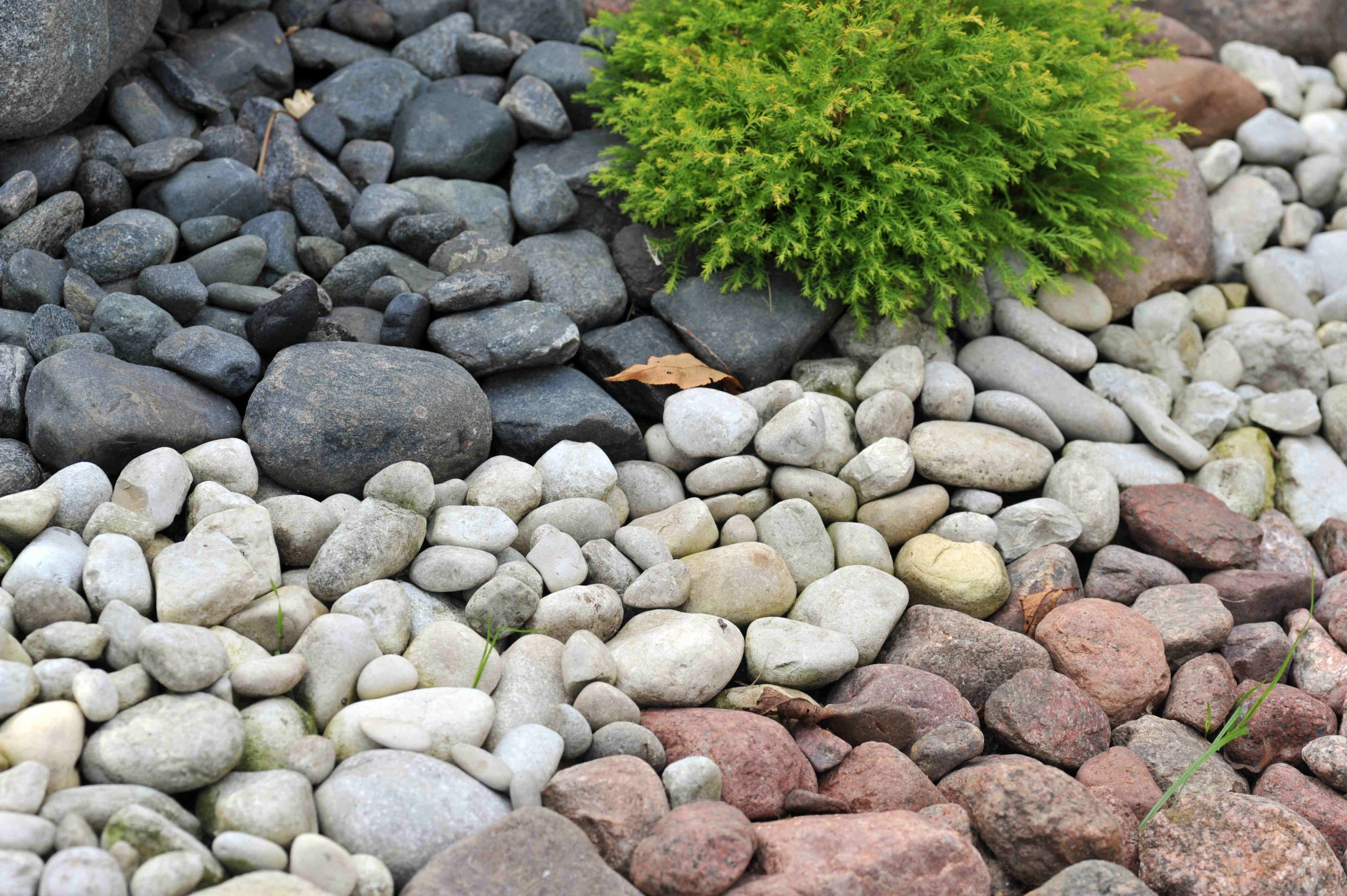 Make Your Garden Rock with Stone Pebbles